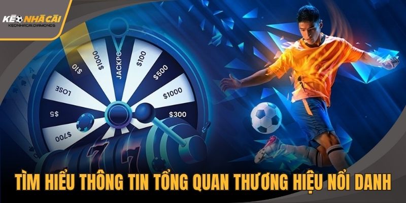 Tìm hiểu thông tin tổng quan thương hiệu nổi danh
