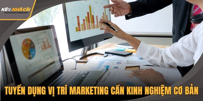 Tuyển dụng vị trí marketing cần kinh nghiệm cơ bản